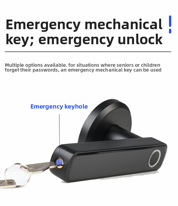 Fingerprint Lock Password Lock