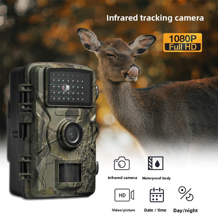 Field Surveillance Camera