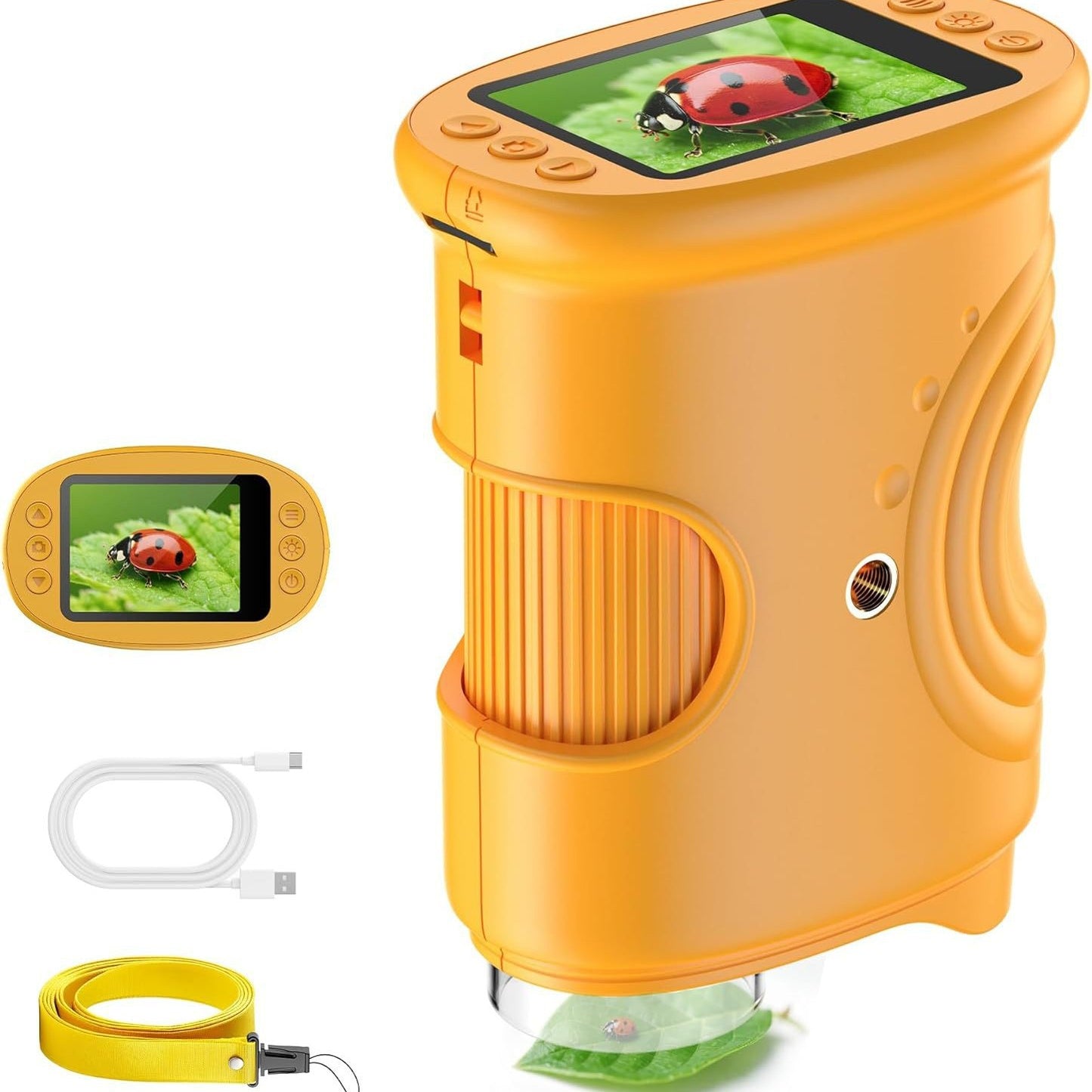Teaching Observation Microscope