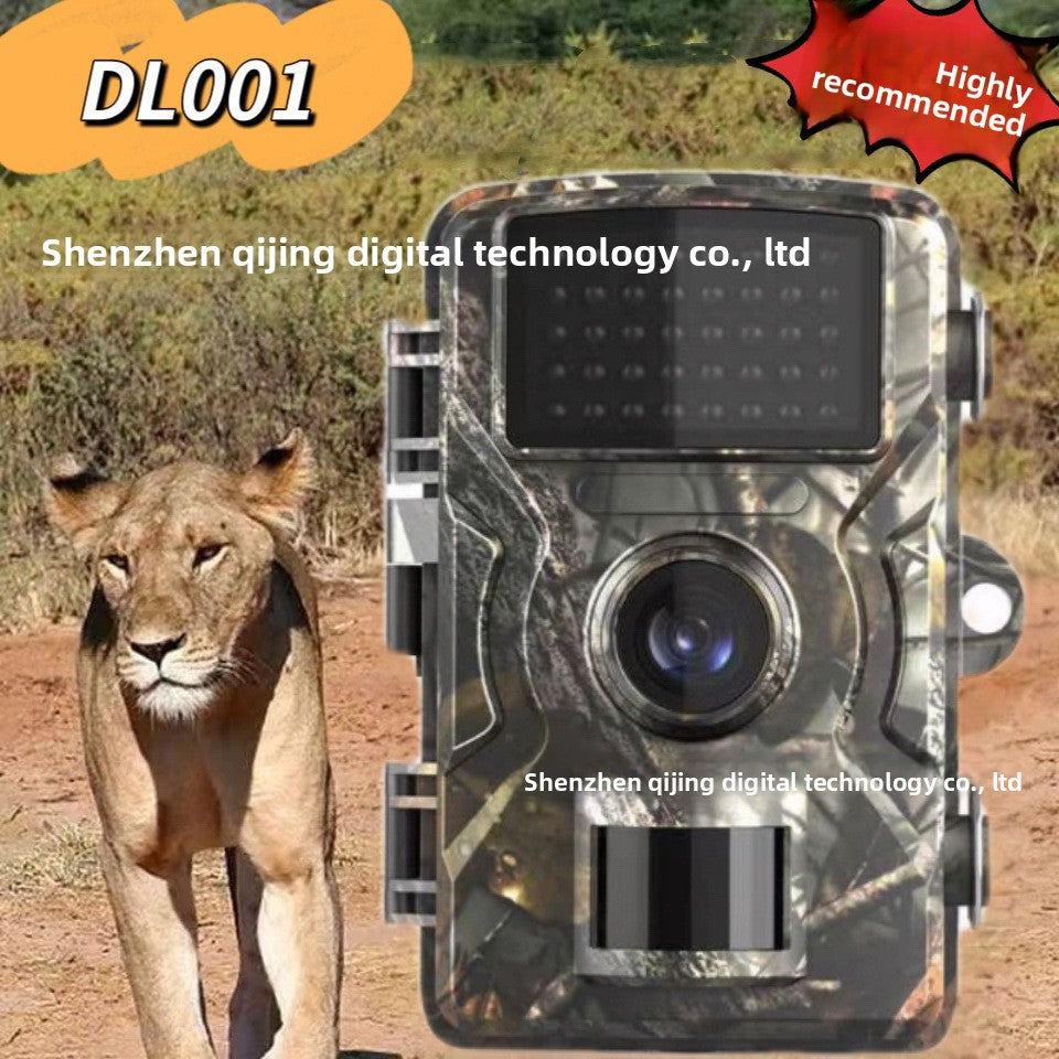 Infrared Night Vision Induction Camera