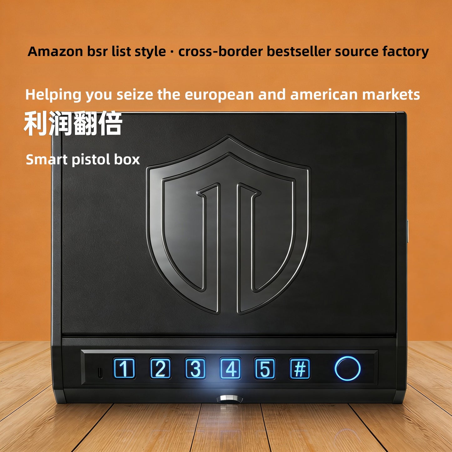 Mini Safe