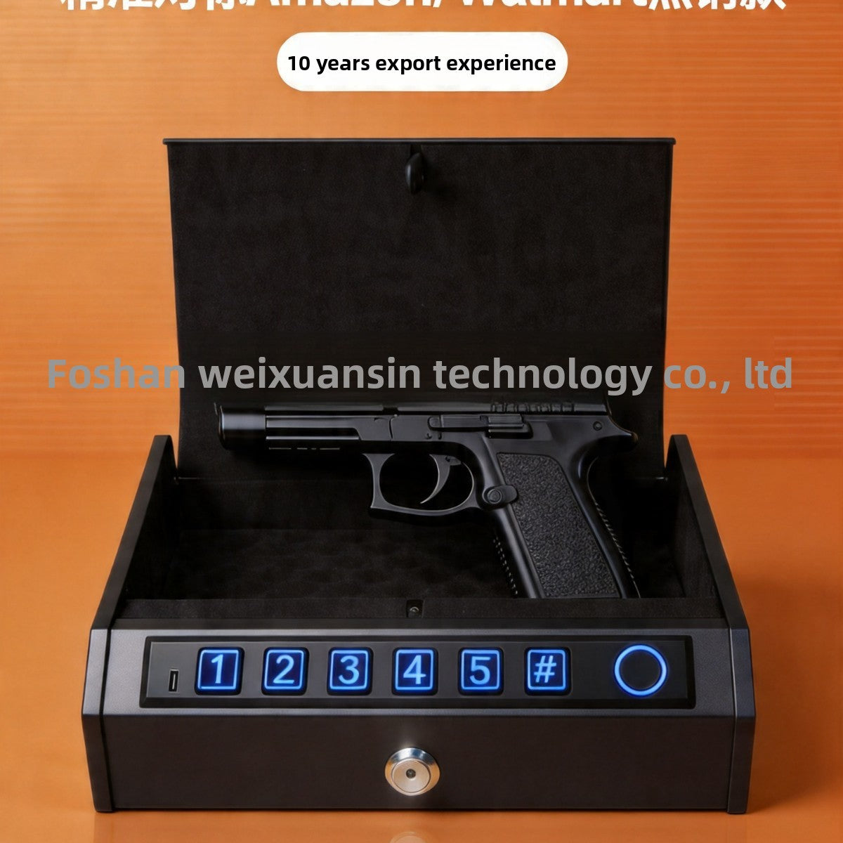 Mini Safe