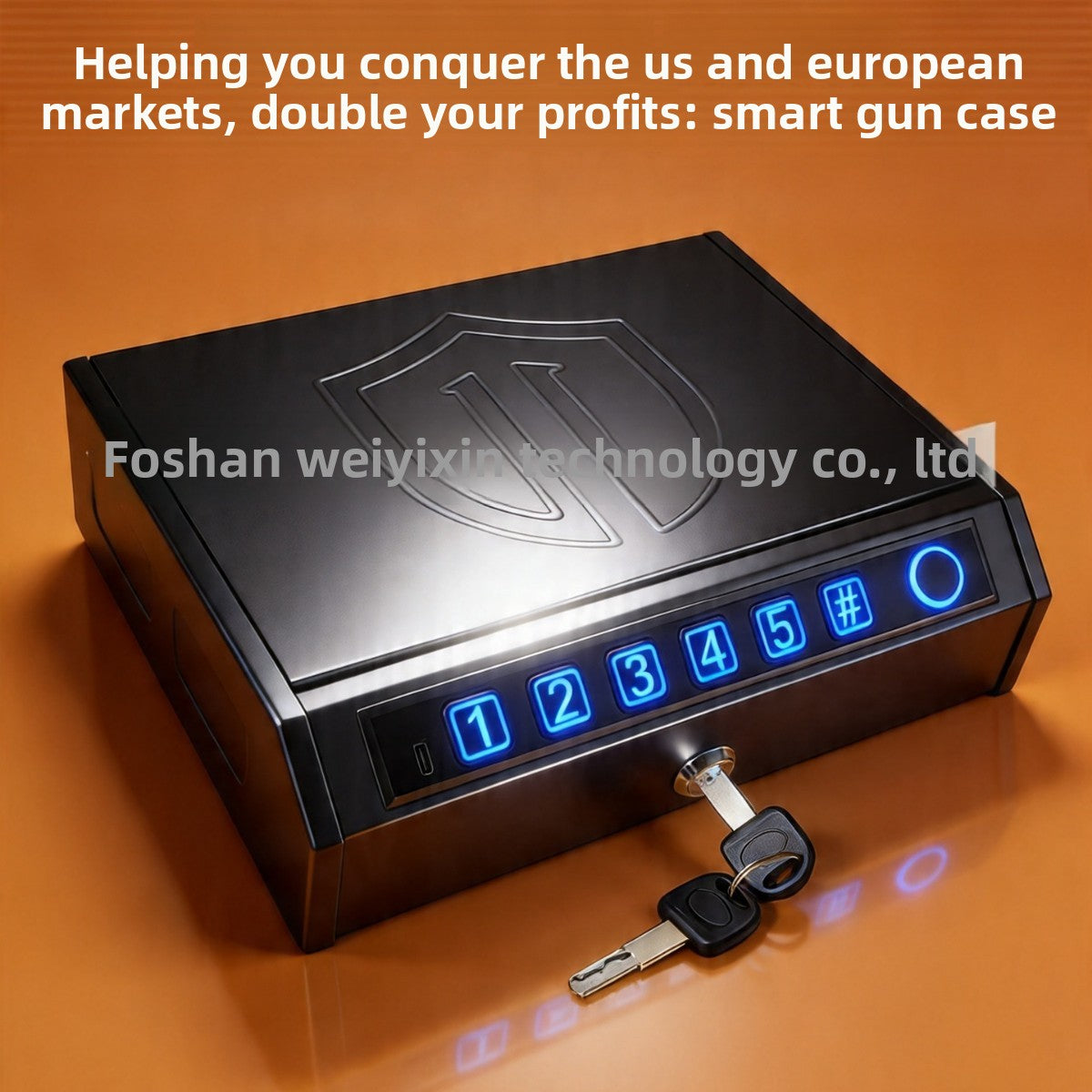 Mini Safe