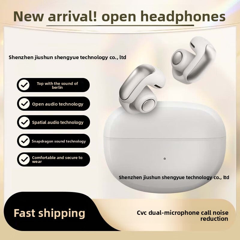 Translation Wireless Headset