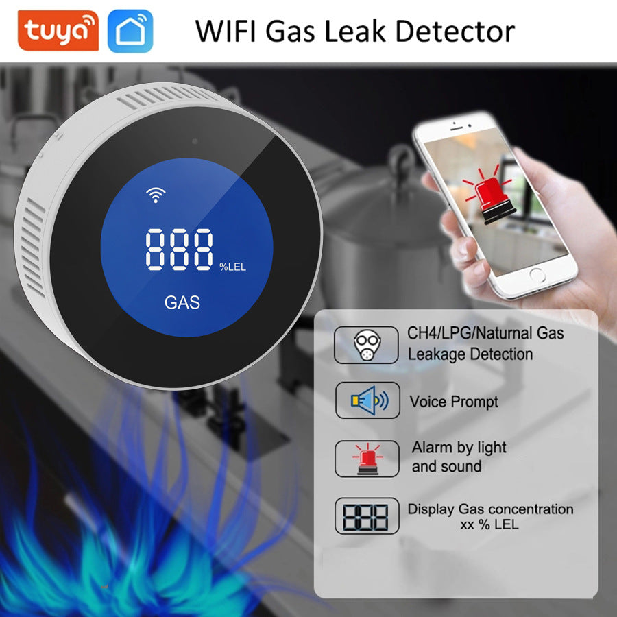 Gas Alarm