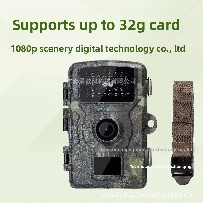 Infrared Night Vision Induction Camera
